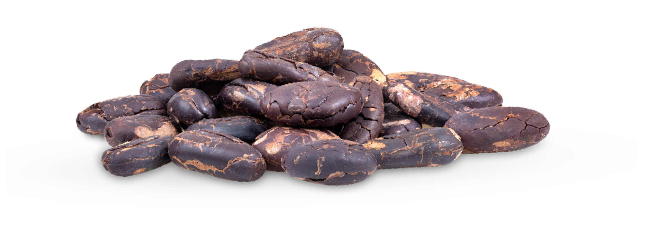 Travaillez avec nous | ICP